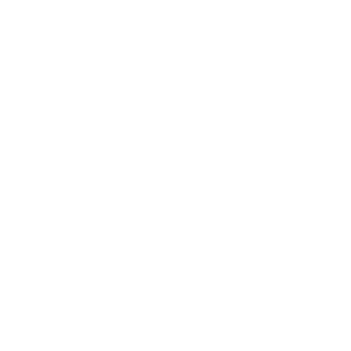 Vigilancia e investigaciones